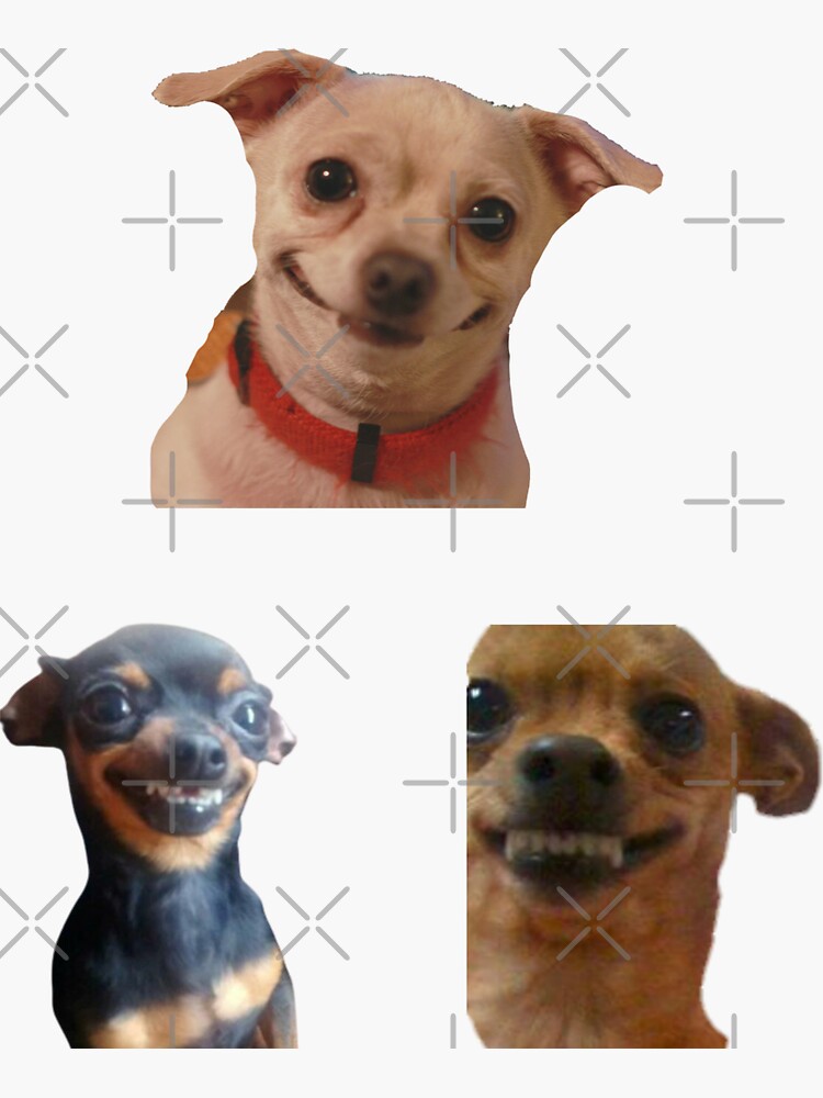 "Chihuahua Meme Smiling Doggo Sticker Pack" Sticker For Sale By ...