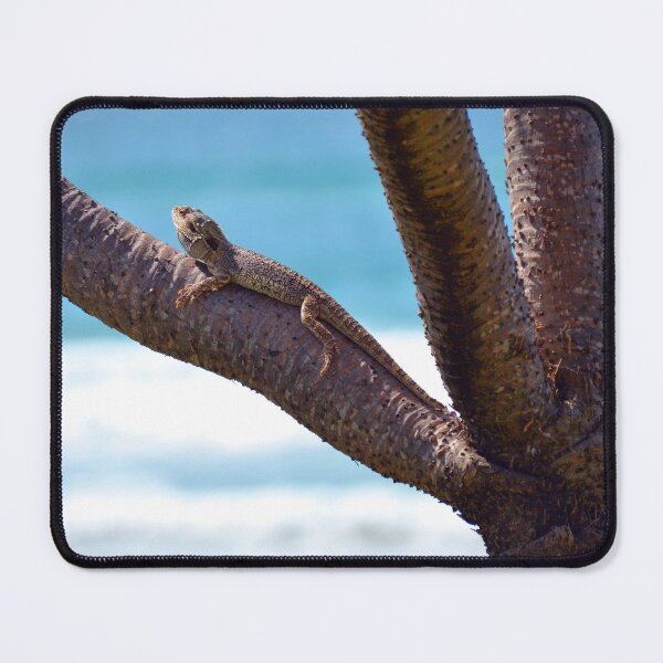 Item preview, Sunbathing lizard on a branch designed and sold by Sandy Maya's Artwork.