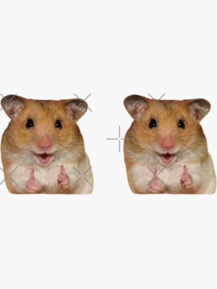 hamster meme Sticker for Sale by dtscott19