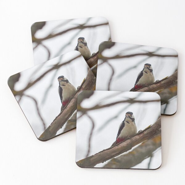Item preview, Looking angry. Great spotted woodpecker designed and sold by Jouko Lehto Photography.