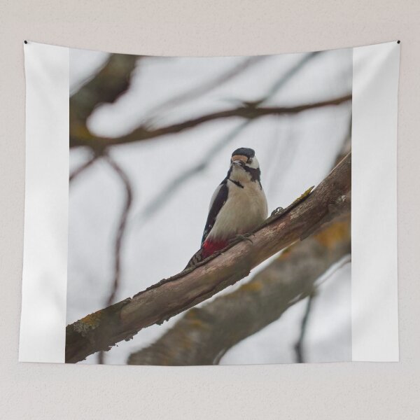 Item preview, Looking angry. Great spotted woodpecker designed and sold by Jouko Lehto Photography.
