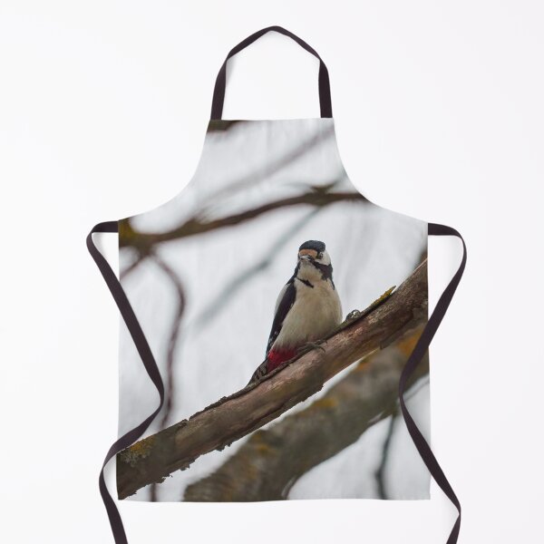Item preview, Looking angry. Great spotted woodpecker designed and sold by Jouko Lehto Photography.