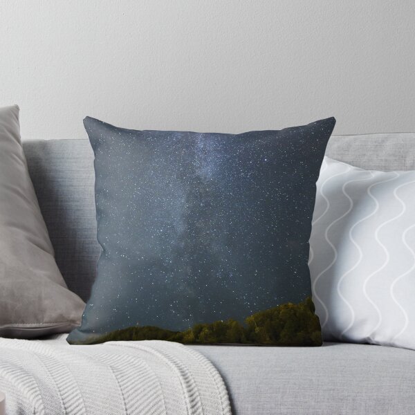 Item preview, Milky Way with forest in the foreground designed and sold by Shadow3561.
