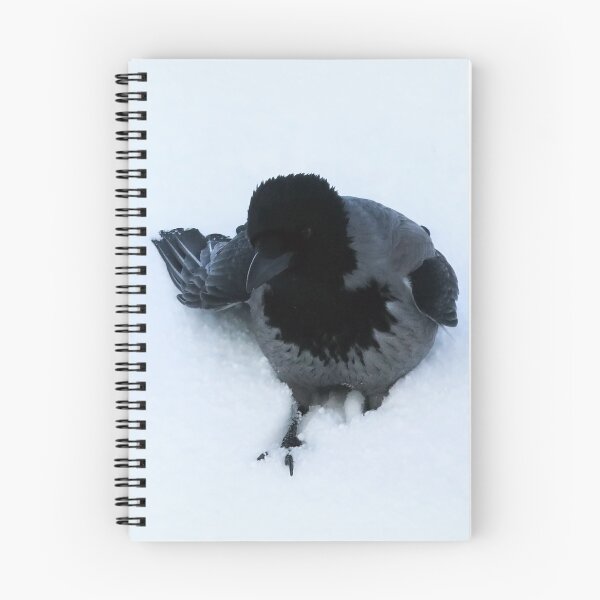 Item preview, Hooded Crow Walking in Deep Snow designed and sold by Taina Sohlman.