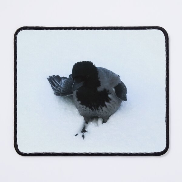 Item preview, Hooded Crow Walking in Deep Snow designed and sold by Taina Sohlman.