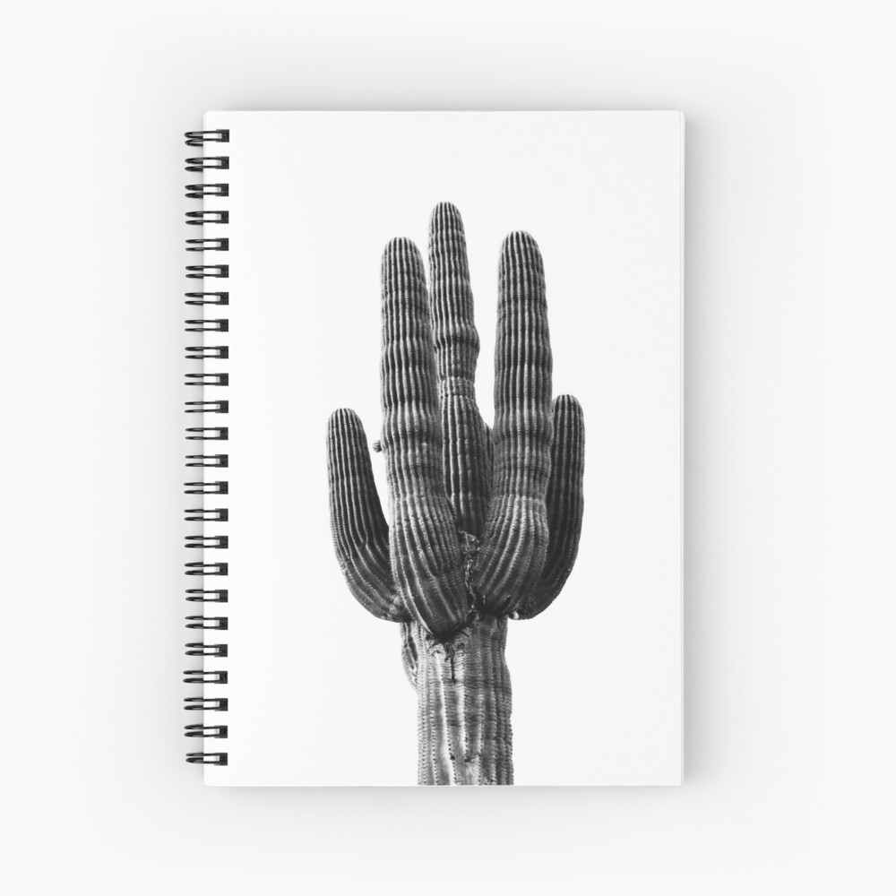 black and white cactus painting