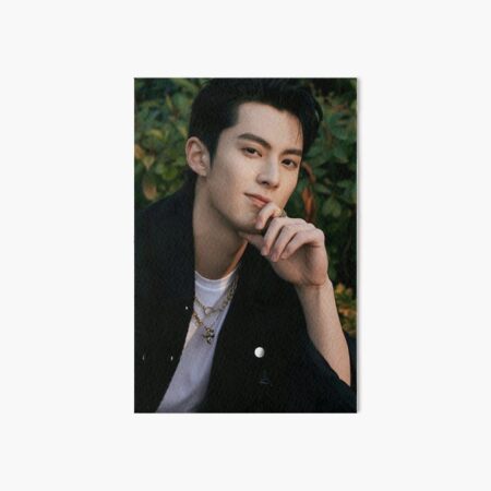 dylan wang Poster for Sale by Divya21