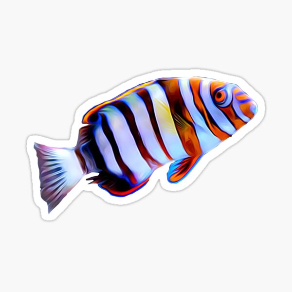 Small Marine Fish Stickers for Sale