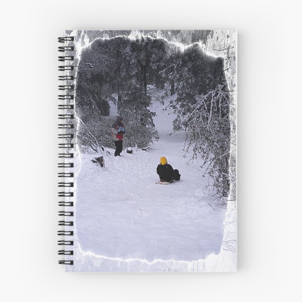 Item preview, Sledding designed and sold by Hugh Olin Smith Jr.