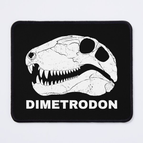 Item preview, Copy of Dimetrodon fossil skull designed and sold by NicGrayGraphic.