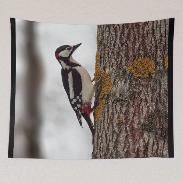 Item preview, Aspen is the favorite. Great spotted woodpecker designed and sold by Jouko Lehto Photography.