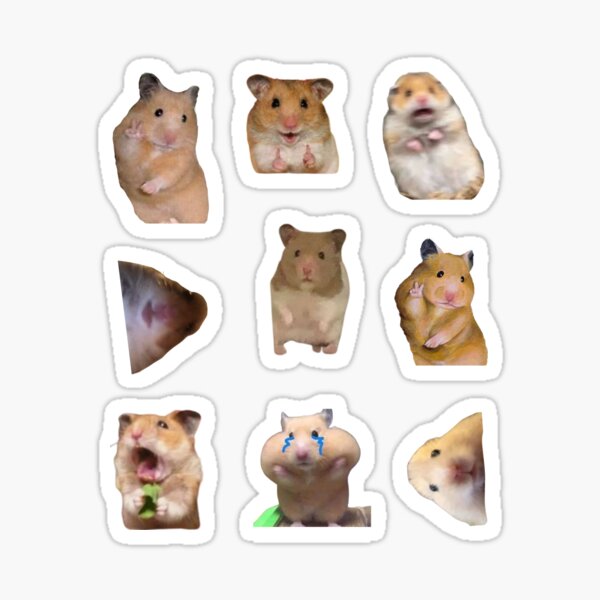 Scared Hamster Meme Gifts & Merchandise for Sale
