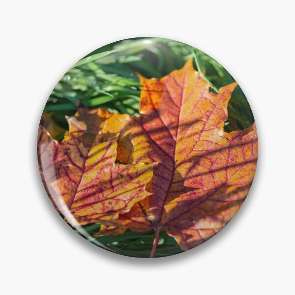 Item preview, Autumnal colors of fallen maple leaves designed and sold by AlbertMi.