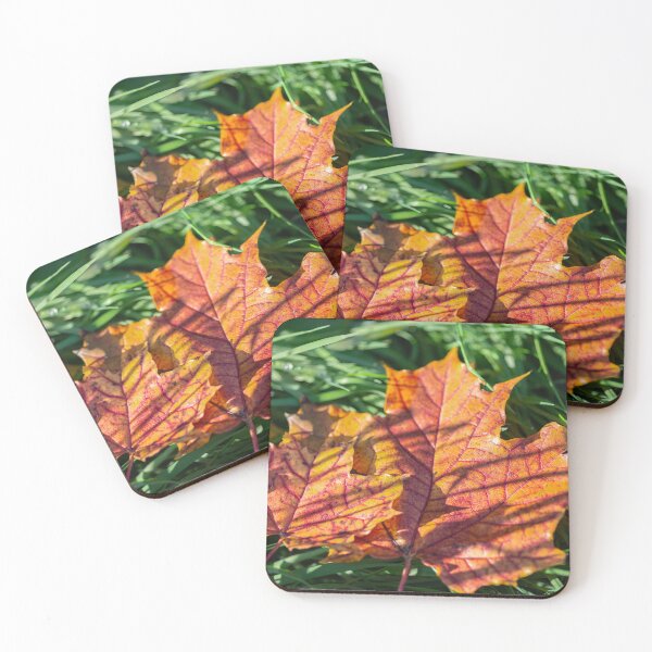 Item preview, Autumnal colors of fallen maple leaves designed and sold by AlbertMi.