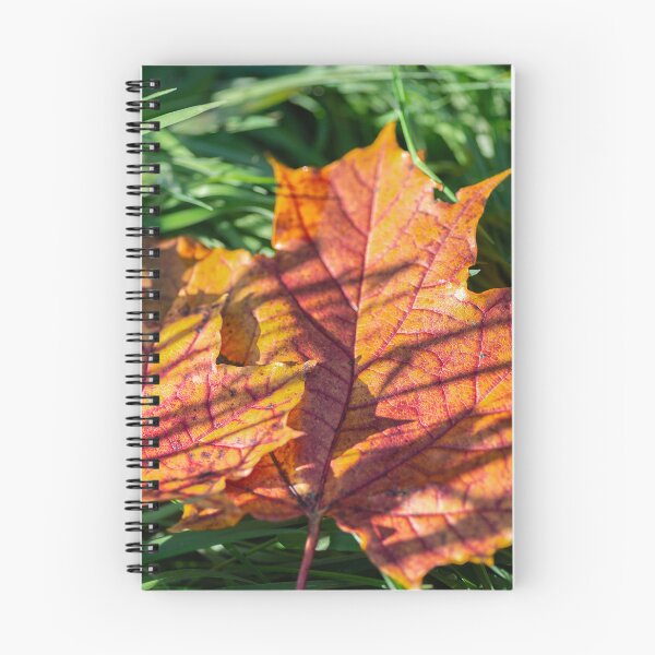 Item preview, Autumnal colors of fallen maple leaves designed and sold by AlbertMi.