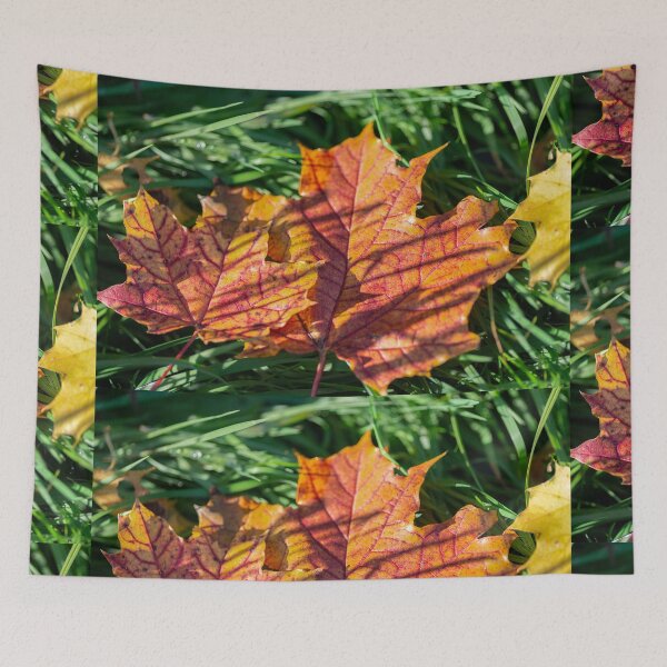 Item preview, Autumnal colors of fallen maple leaves designed and sold by AlbertMi.
