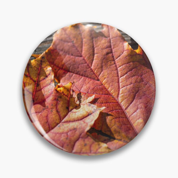 Item preview, Autumnal colors of fallen maple leaves designed and sold by AlbertMi.