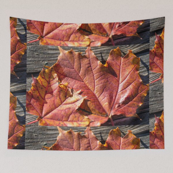 Item preview, Autumnal colors of fallen maple leaves designed and sold by AlbertMi.