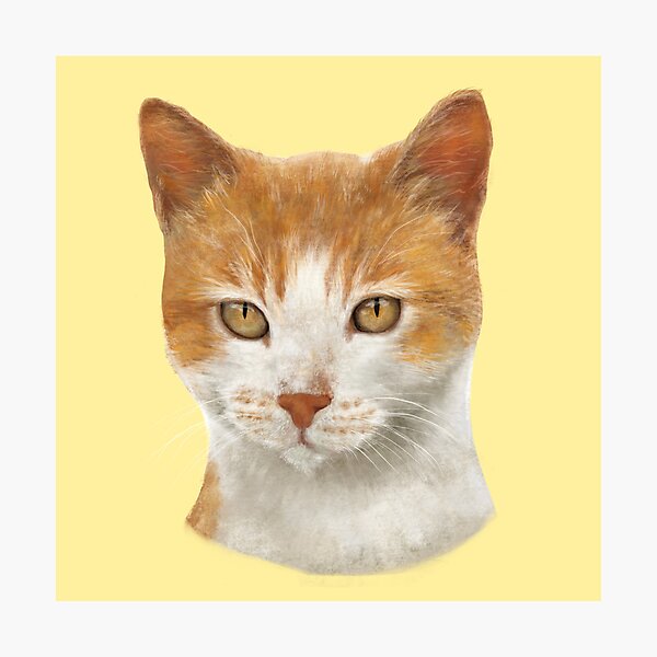 Item preview, Street Cat  designed and sold by EFayChen.