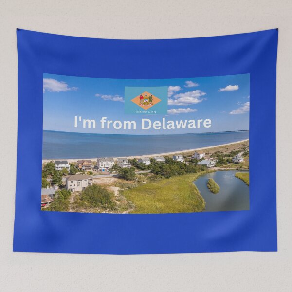 Item preview, I'm from Delaware designed and sold by Mirex88.