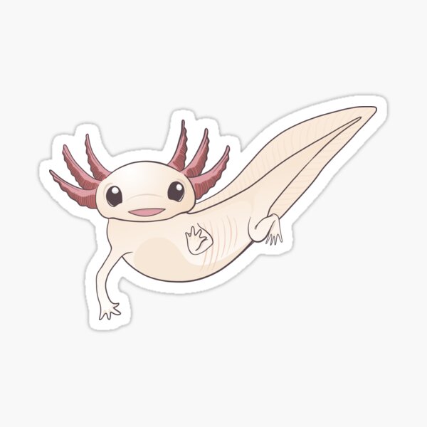 Item preview, Cute Adorable Axolotl Original Decal Design Salamander Amphibian designed and sold by Inklingsofgrace.