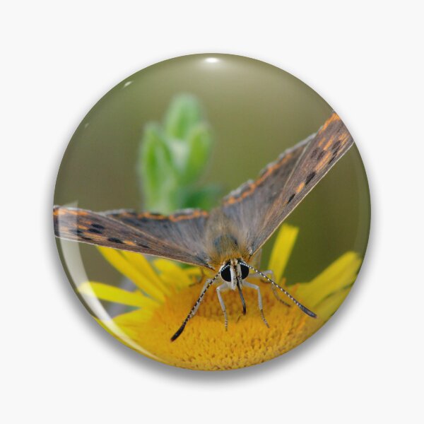 Item preview, Lycaena tityrus designed and sold by iago rodriguez dopico.