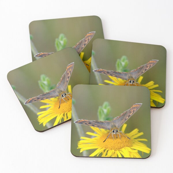 Item preview, Lycaena tityrus designed and sold by iago rodriguez dopico.
