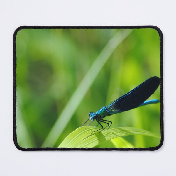 Item preview, calopteryx virgo designed and sold by iago rodriguez dopico.