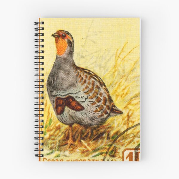 Item preview, Russia USSR Gray Partridge Postage Stamp designed and sold by StampLand.