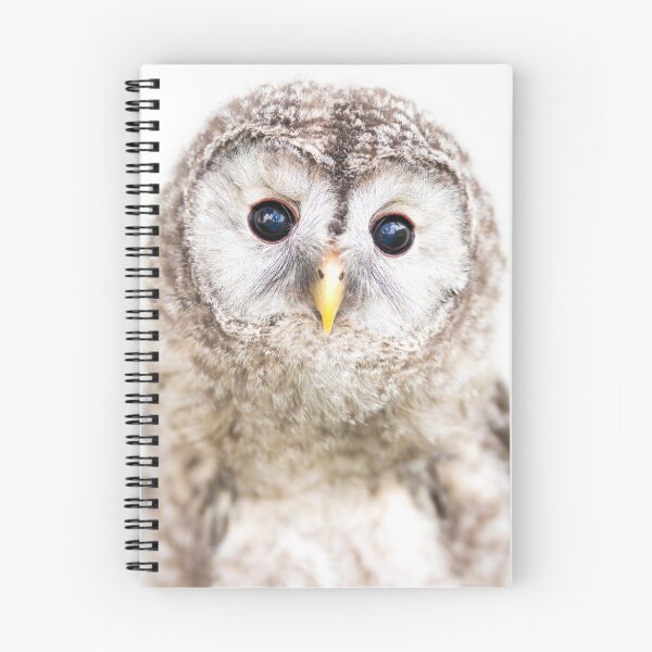 Item preview, Baby Owl - peekaboo animals collection designed and sold by Digital  Cloud.