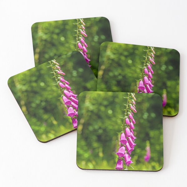 Item preview, Upright Foxglove Creigiau Woods near Cardiff June designed and sold by Cameranick.