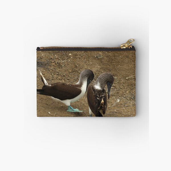 Item preview, Blue Footed Boobies Mating designed and sold by rhamm.