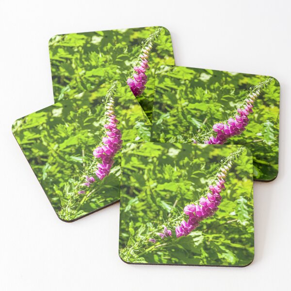 Item preview, Leaning Foxglove in a nearby Woodland Cardiff  designed and sold by Cameranick.
