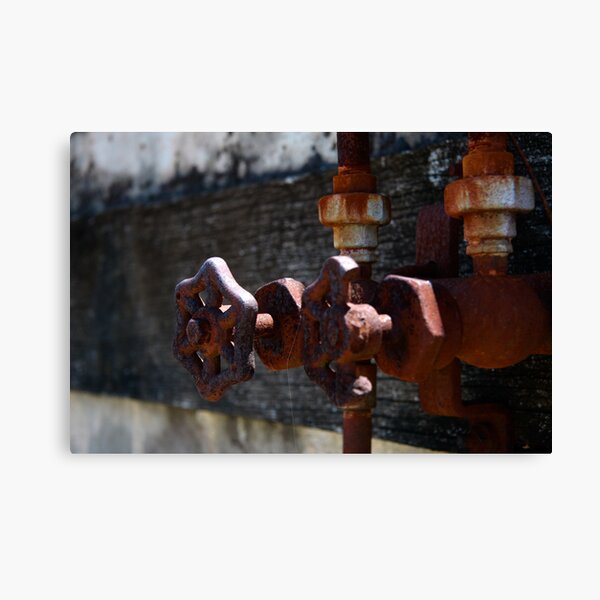 Old taps Canvas Print