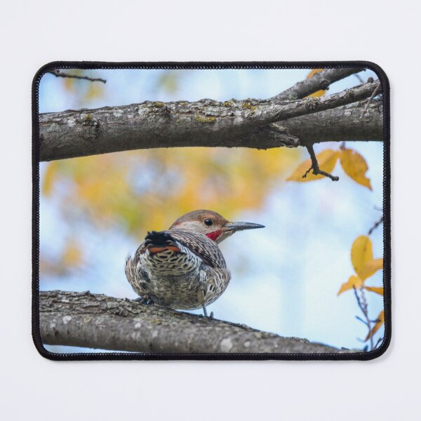 Item preview, Northern Flicker Cross designed and sold by Debra Martz.