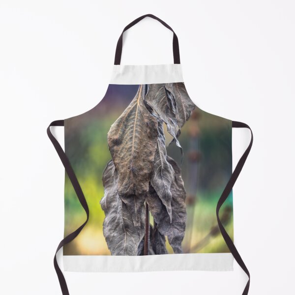 Item preview, Lifeless and frozen wrinkled colorless leaves of shrubs in autumn designed and sold by AlbertMi.