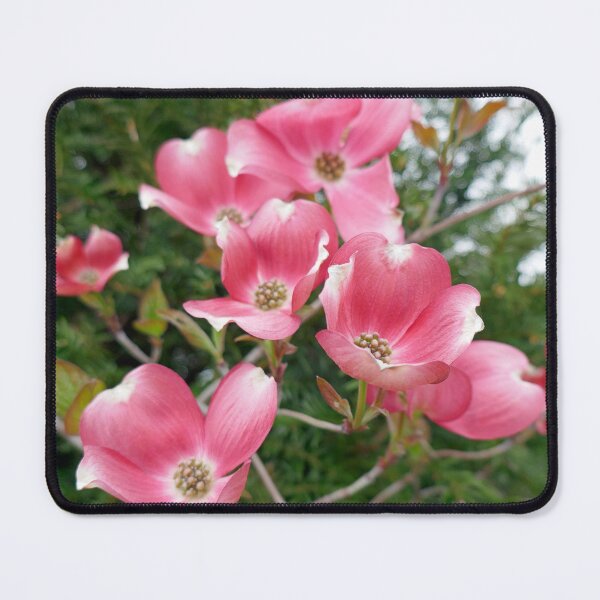 Item preview, nature, flora, flower, shrub, pink, photography, bebicervin designed and sold by BebiCervin.