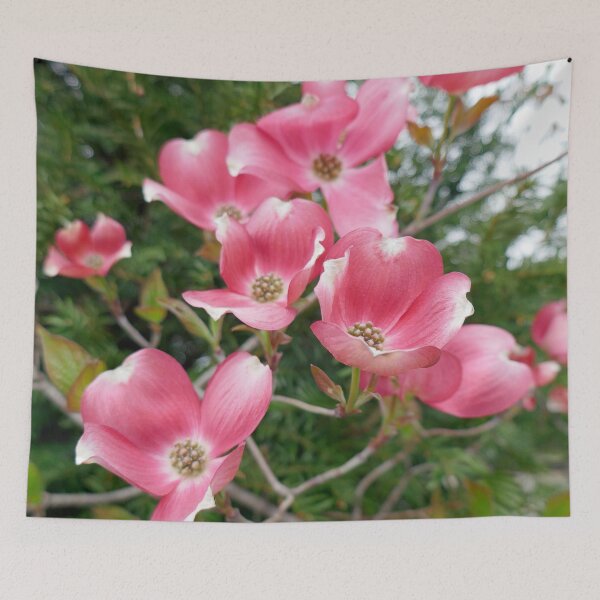 Item preview, nature, flora, flower, shrub, pink, photography, bebicervin designed and sold by BebiCervin.