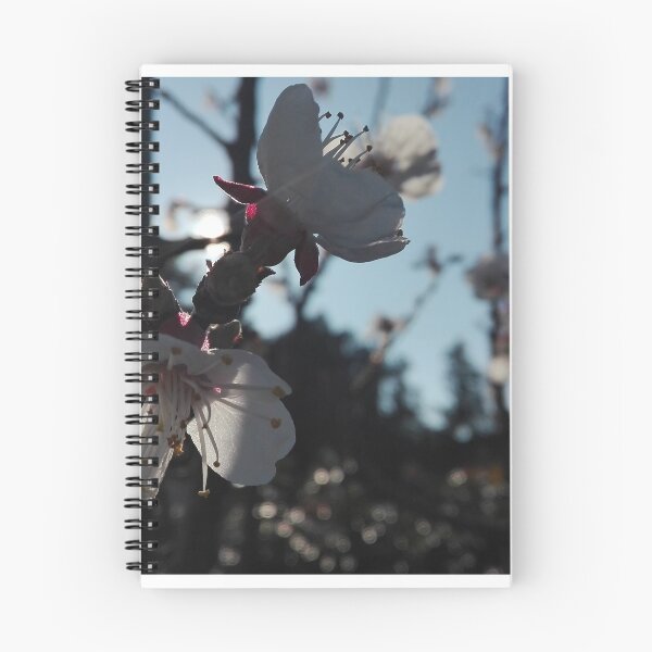 Item preview, Cherry tree in bloom designed and sold by paneele.