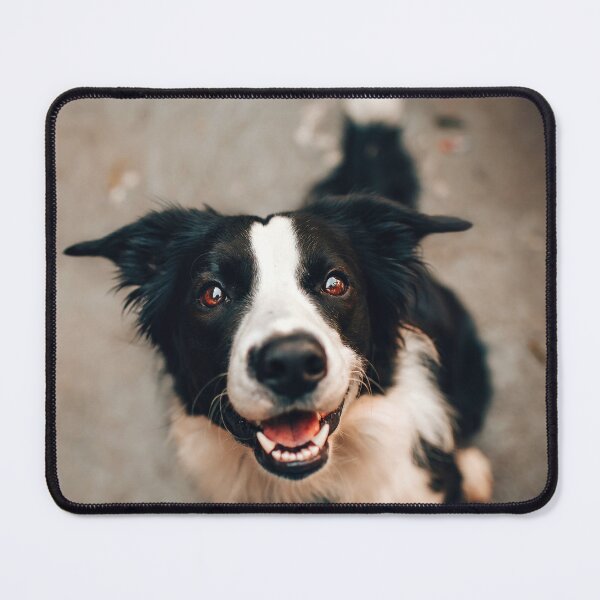 Item preview, Pretty dog designed and sold by Batartiste.