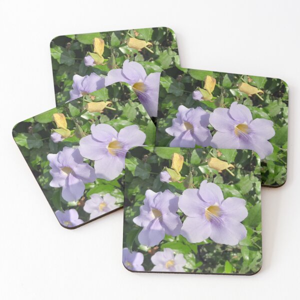 Item preview, Beautiful Purple Bengal Clockvine  designed and sold by my-tree.