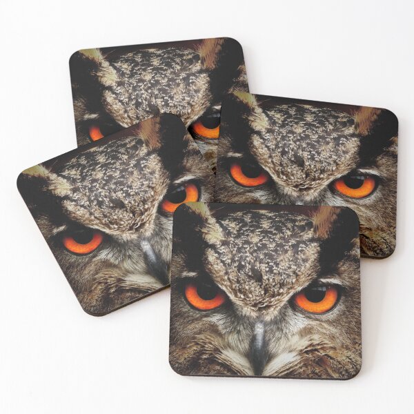 Item preview, Owl Up Close designed and sold by UpwardsBound.