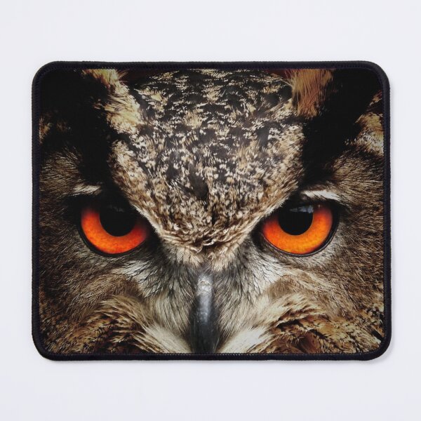 Item preview, Owl Up Close designed and sold by UpwardsBound.