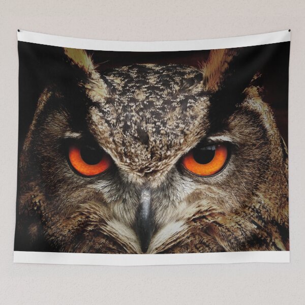 Item preview, Owl Up Close designed and sold by UpwardsBound.