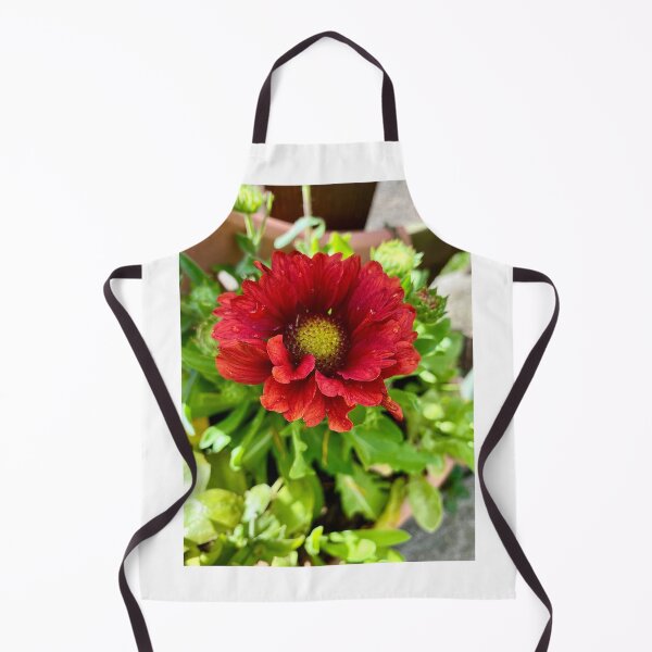 Artikelvorschau, Gaillardia Gaia entworfen und verkauft von Gaia-Rose-Art.