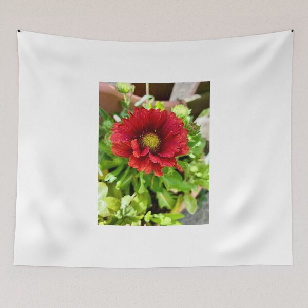 Item preview, Gaillardia Gaia designed and sold by Gaia-Rose-Art.