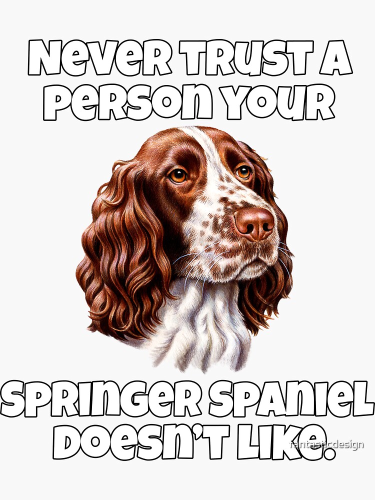 Springer spaniel hotsell gifts for owners