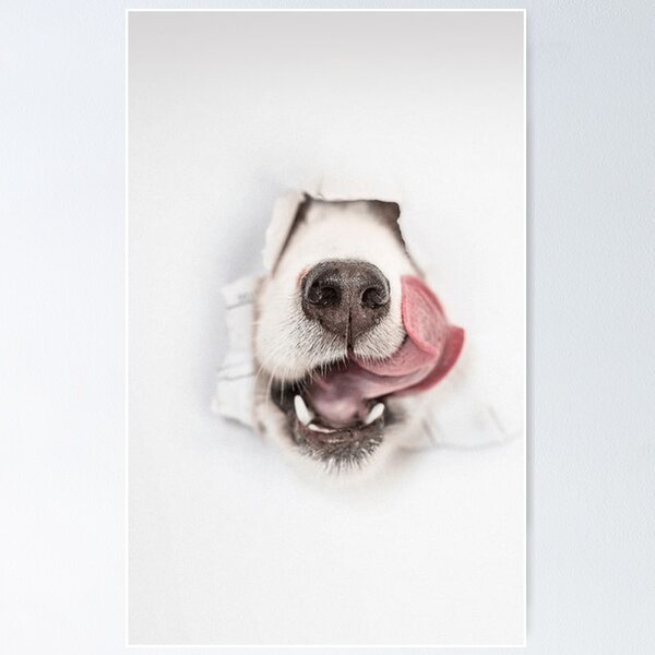 Item preview, PERRO designed and sold by Lady  M.