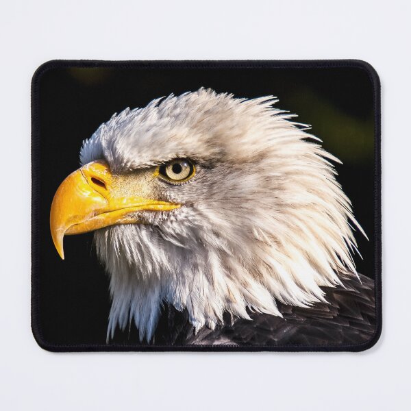 Item preview, Eagle Up Close designed and sold by UpwardsBound.