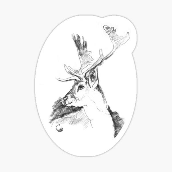 Hirsch, Kopf (Sticker) - Charcoal Animals Sticker